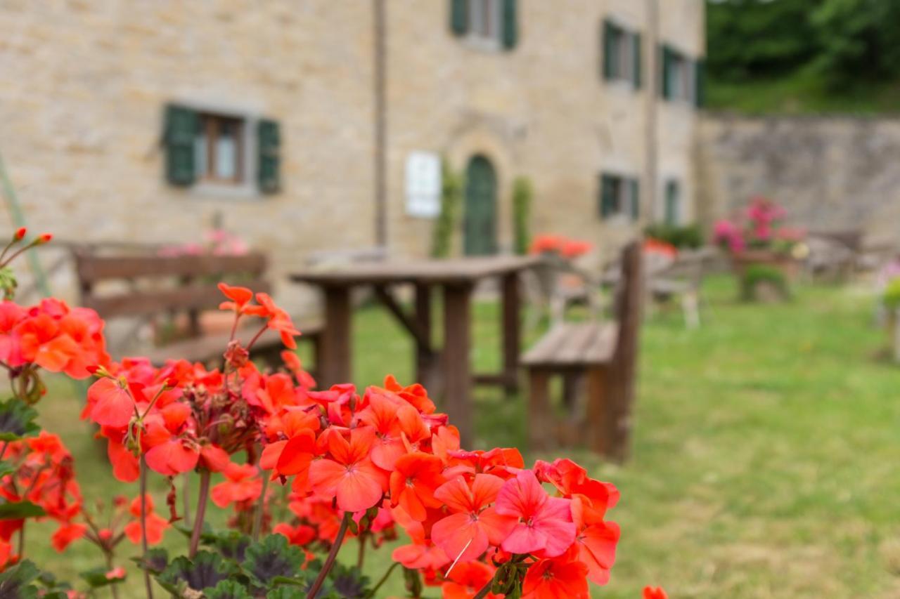 Agriturismo L'Antico Frutto Premilcuore Exterior foto